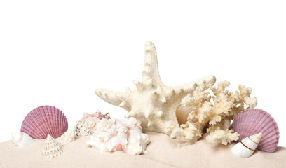Obraz na płótnie Canvas Beautiful starfish, coral and sea shells in sand on white background