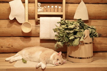 Fototapeta na wymiar A light ginger cat lies on a bench in a sauna among traditional accessories for bath treatments. 