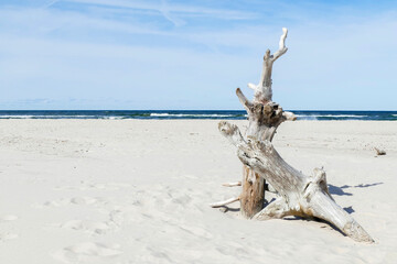 stary konar na piaskowej plaży