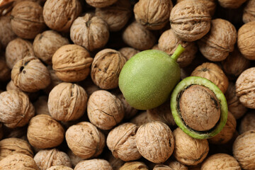 Walnuts with nut peel on yellow background