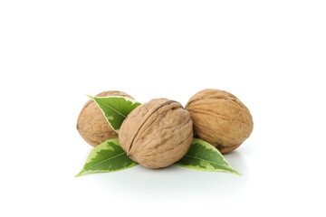 Walnuts isolated on white background, close up