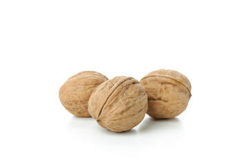 Walnuts isolated on white background, close up