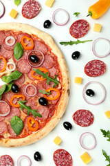 Concept of tasty food with Salami pizza on white background