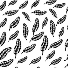 feathers seamless pattern