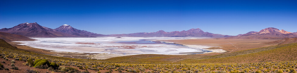 Panorama image of the salt lake Salar Surire surrounded by volcano's in the high Andes of northern Chile