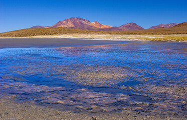 Landscape with the salt-lake Salar Surire and volcano's high in the Andes in northern Chile