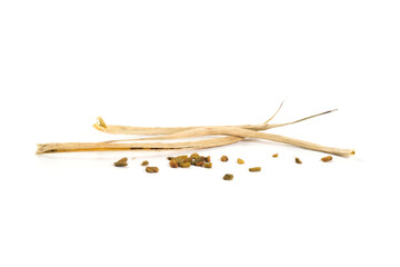 Dried Fenugreek pods and seeds isolated on white background. Trigonella foenum-graecum. Close up view.