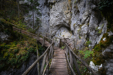 Devil's Path - picturesque eco-path and hiking trail in the Rhodopes mountains, Bulgaria. Wooden ...