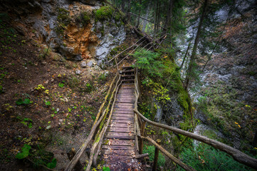 Devil's Path - picturesque eco-path and hiking trail in the Rhodopes mountains, Bulgaria. Wooden  bridge at autumn