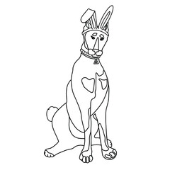 Linear art. Doberman is sitting in a hare costume. Dog with hare ears. Funny print. Cute illustration. Drawing for logo, print, sticker, design element. Black and white vector illustration. Isolated.