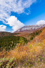 【鳥取県】鍵掛峠からみる秋の大山　自然風景
