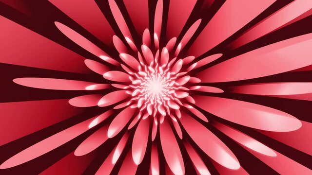 Abstract Red Background with Radial Curve Streaks Loop Animation