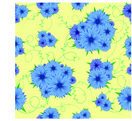 Сentaurea, cornflowers, seamless pattern