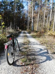 Fototapeta na wymiar bike on the forest path