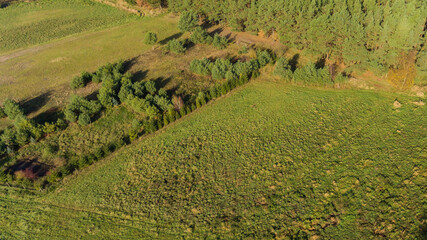 Mierzeja Wiślana z drona © Marcin