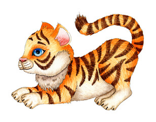 Fototapeta na wymiar Watercolor painting cartoon tiger cub plays, hunts. The symbol of the Chinese New Year, Christmas. Illustration for childrens design. Isolated over white background.