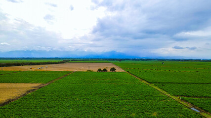 Naklejka premium Valle del cauca