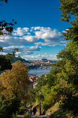Fototapeta na wymiar panoramic view on Prague Castle with the river moldau on a sunny day