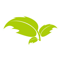 leaf green logo  icon illustration sign