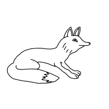 Hand drawn black vector illustration of a beautiful adult young funny fox with a long fluffy tail isolated on a white background