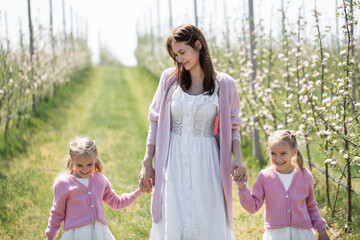 Fototapeta premium Mother and her twin daughters hold hands and walk through a blooming Apple orchard in spring