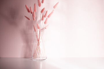 Dry flowers with shadow on wall. Bouquet with reflection on wall of fluffy plants with pom-poms on pink background.  - obrazy, fototapety, plakaty