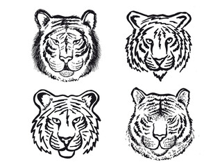 Tiger head set, hand drawn illustration, isolated on white background.	