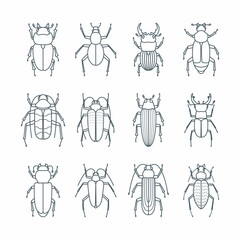 Beetle insects icons set in linear style