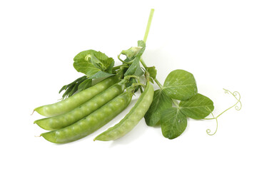 Pea pods with green leaves