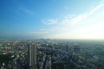 Fototapeta na wymiar 東京　展望台からの景色