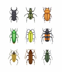 Color beetles icons