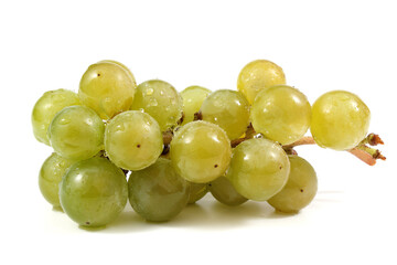 Cluster of wine grapes