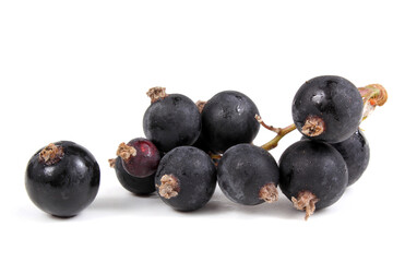 Black currant isolated on white background