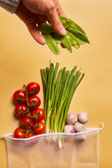Eco friendly bag for vegetables and greens with one hand. set of tomatoes, chives, garlic and beans