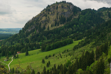 Fototapeta na wymiar Alpine forest near Neuschwanstein castle and Hohenschwangau castle. Bavarian alps in springtime, mountain Tegelberg.