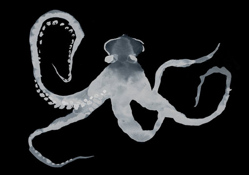 Hand-painted Octopus on Black background. Design Image