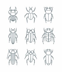 A set of simple outline beetle icons