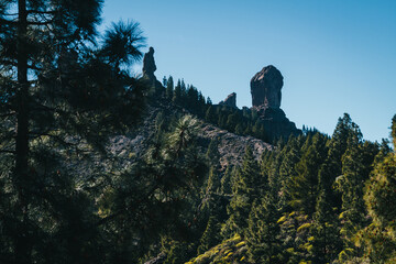 Naklejka premium View of Roque Nublo from the forest in the Canary Islands