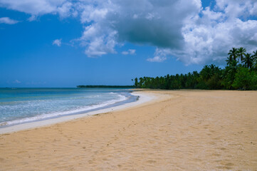 sea coast yellow sand waterfront sunny view. Photo of a sandy beach in the foreground from the Dominican Republic. The picture clearly shows the magnificent sand from the Atlantic Ocean and the bright