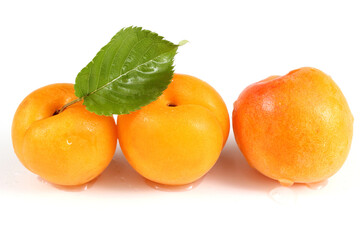 Three apricots with leaf