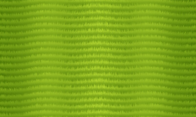 green grass texture background vector design, feathered base.