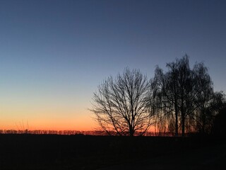 Obraz premium sunset in the woods. sunset in the forest. sunset in the mountains. 