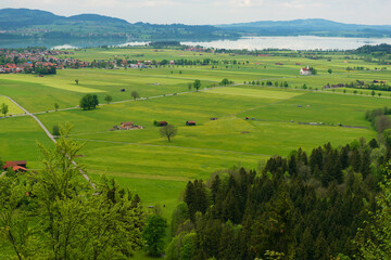 Alpine forest near Neuschwanstein castle and Hohenschwangau castle. Bavarian alps in springtime, mountain Tegelberg.
