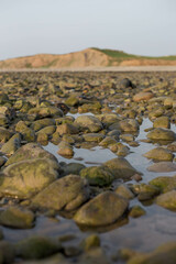 Rocks in water on beach
