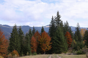 Picturesque view of sky over mountains in autumn