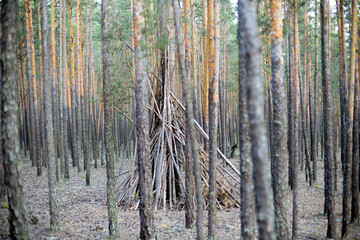 Teepee from wood, triangle in the woods