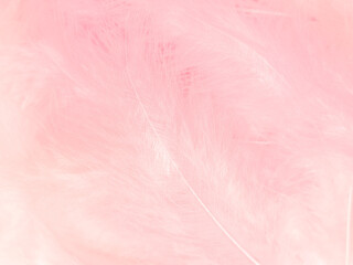 Fototapeta premium Beautiful abstract light pink feathers on white background, white feather frame on pink texture pattern, pink background, love theme wallpaper and valentines day, white gradient