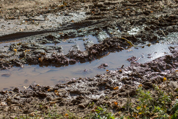 Rain blurred ground and puddle, truck footprint, autumn rainy weather puddles slush and mud, natural background