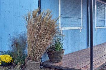 Old fashioned autumn rustic Provence garden