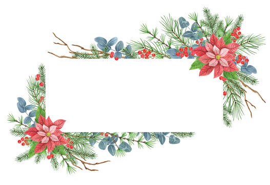Christmas frame with poinsettia, greenery, spruce, pine tree twig and holly berries. New Year design decoration garland. Isolate on white background.